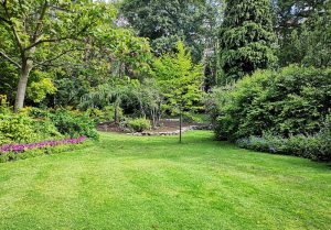 Optimiser l'expérience du jardin à Gigny-sur-Saone